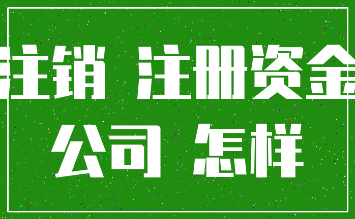 注销 注册资金_公司 怎样