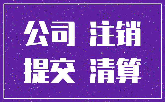 公司 注销_提交 清算