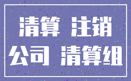 清算 注销_公司 清算组