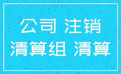 公司 注销_清算组 清算