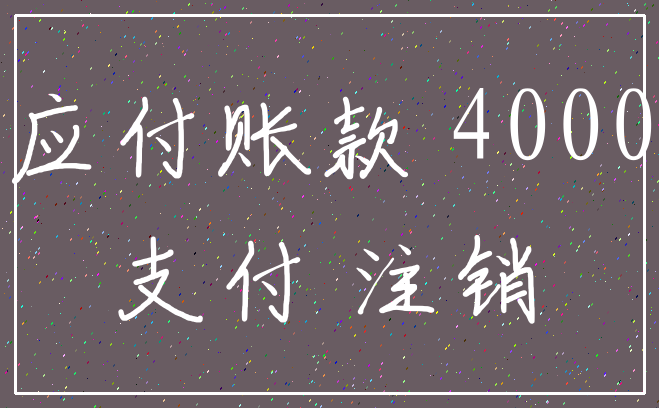 应付账款 4000_支付 注销