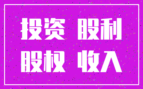 投资 股利_股权 收入