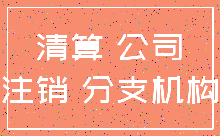 清算 公司_注销 分支机构