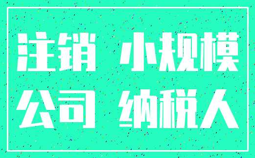 注销 小规模_公司 纳税人