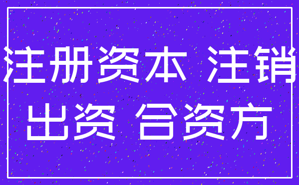 注册资本 注销_出资 合资方