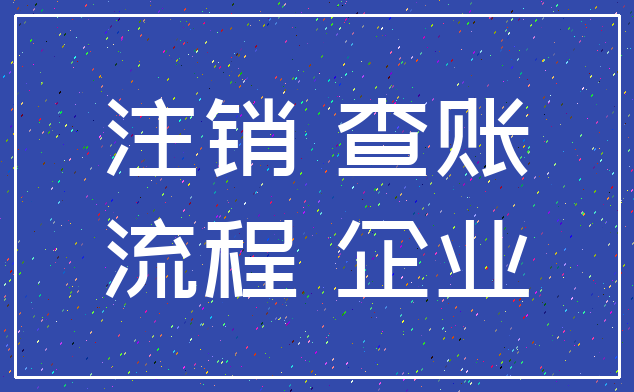 注销 查账_流程 企业
