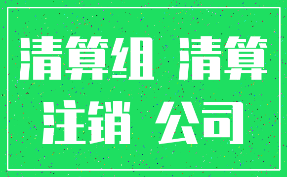 清算组 清算_注销 公司
