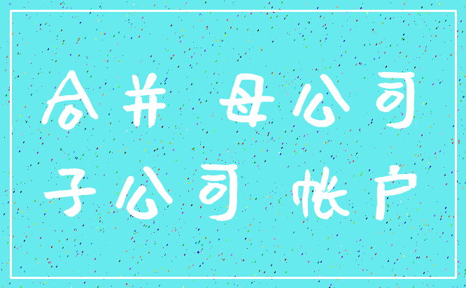 合并 母公司_子公司 帐户