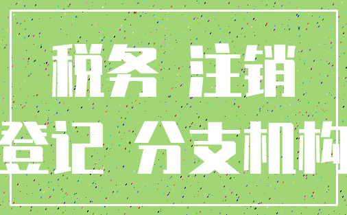 税务 注销_登记 分支机构