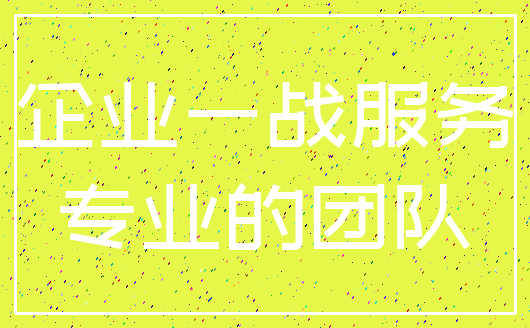 企业一战服务_专业的团队