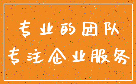 专业的团队_专注企业服务