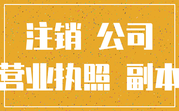 注销 公司_营业执照 副本