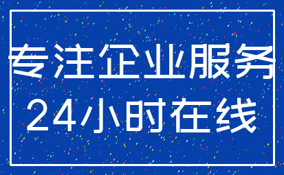 专注企业服务_24小时在线