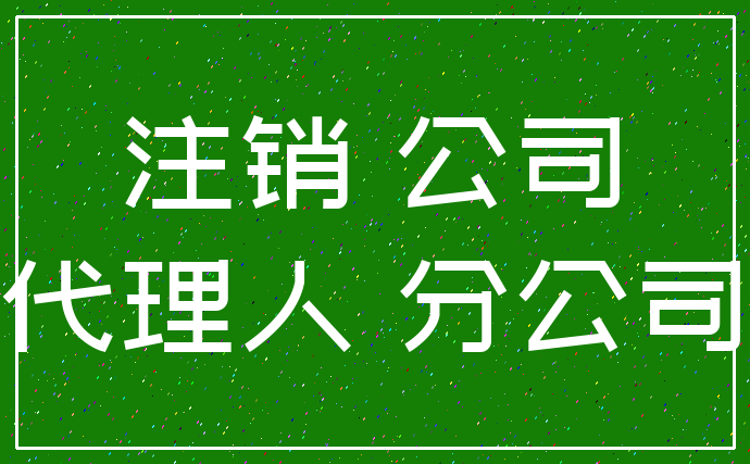 注销 公司_代理人 分公司