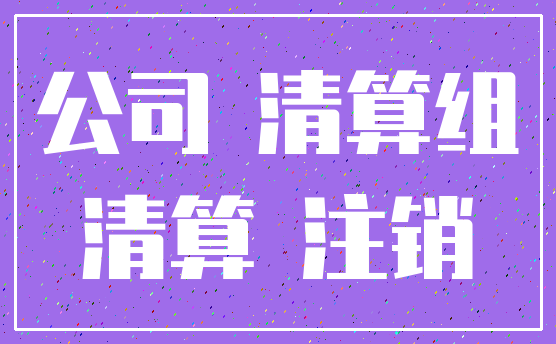 公司 清算组_清算 注销