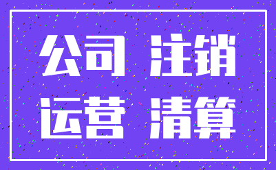 公司 注销_运营 清算