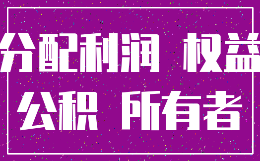 分配利润 权益_公积 所有者