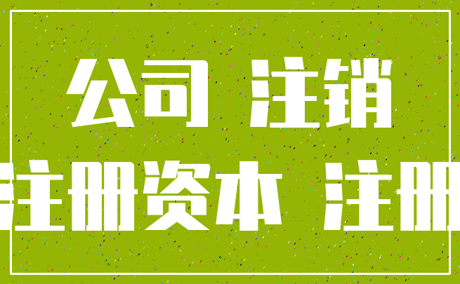 公司 注销_注册资本 注册