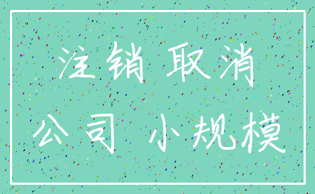 注销 取消_公司 小规模