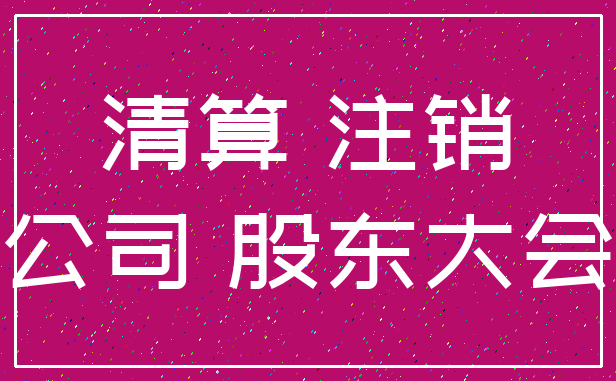 清算 注销_公司 股东大会