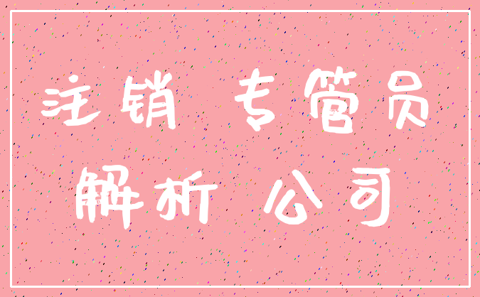 注销 专管员_解析 公司
