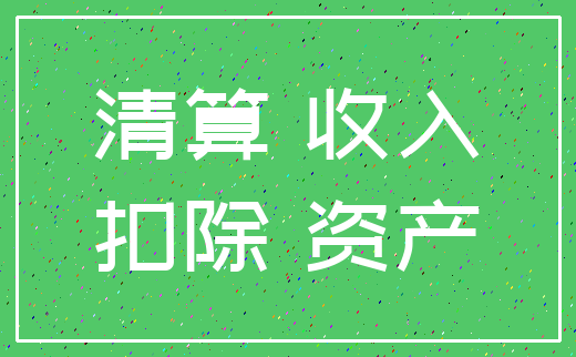 清算 收入_扣除 资产