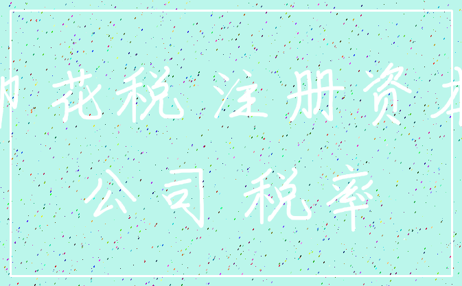印花税 注册资本_公司 税率
