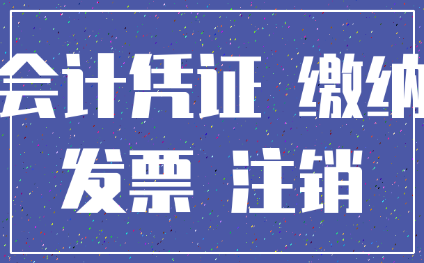 会计凭证 缴纳_发票 注销