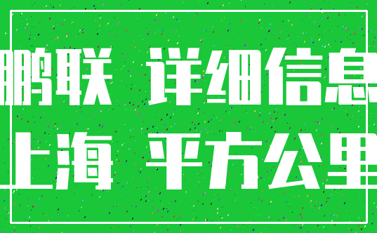 鹏联 详细信息_上海 平方公里