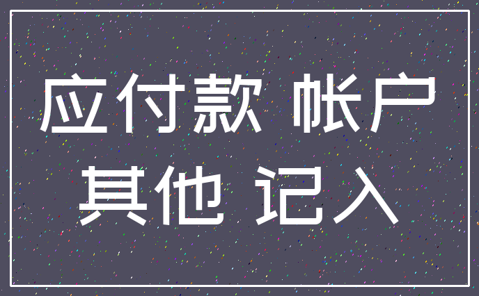 应付款 帐户_其他 记入