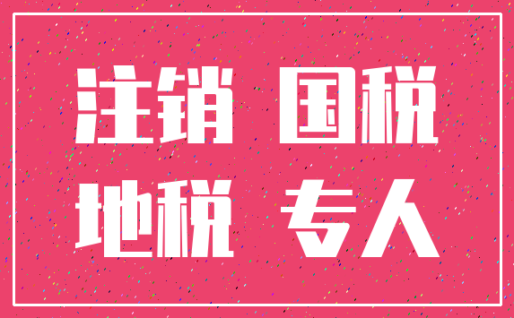 注销 国税_地税 专人
