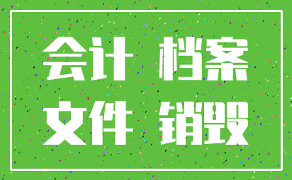 会计 档案_文件 销毁