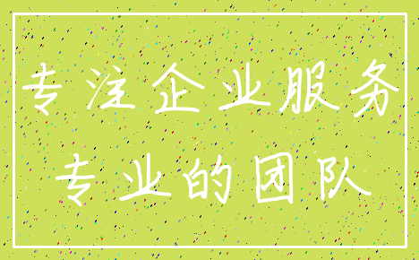 专注企业服务_专业的团队