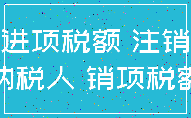 进项税额 注销_纳税人 销项税额