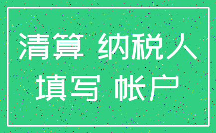 清算 纳税人_填写 帐户