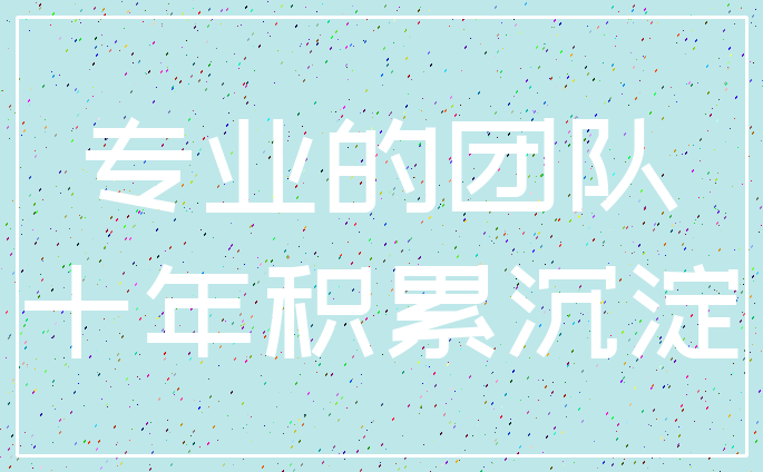 专业的团队_十年积累沉淀