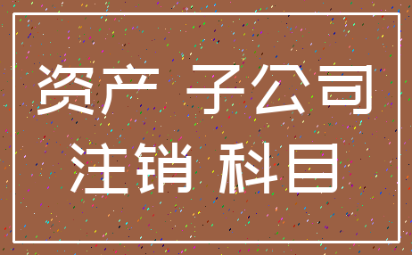 资产 子公司_注销 科目
