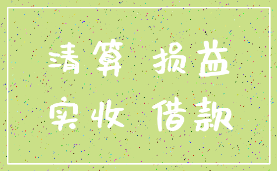 清算 损益_实收 借款