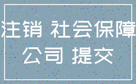 注销 社会保障_公司 提交