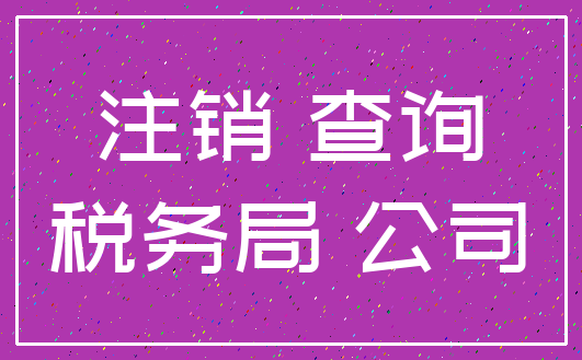 注销 查询_税务局 公司