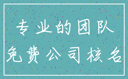 专业的团队_免费公司核名