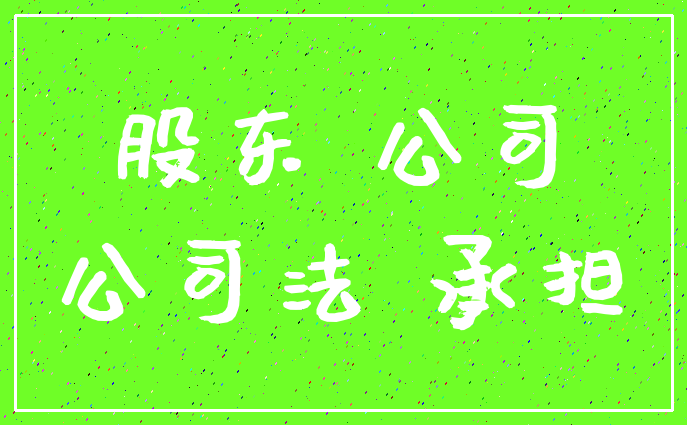 股东 公司_公司法 承担
