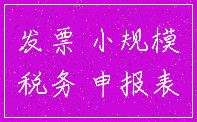 发票 小规模_税务 申报表
