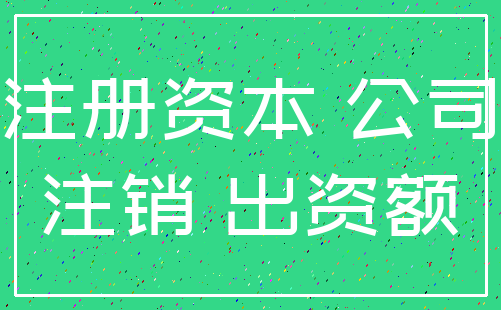 注册资本 公司_注销 出资额