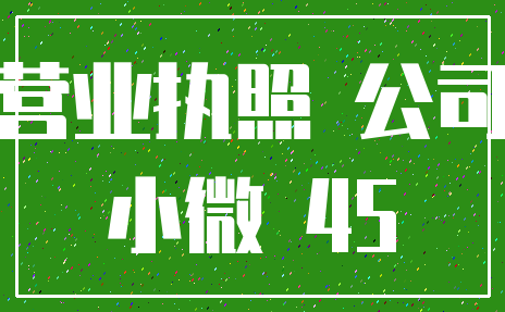 营业执照 公司_小微 45