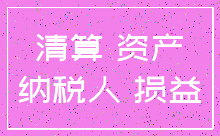 清算 资产_纳税人 损益