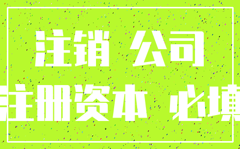 注销 公司_注册资本 必填