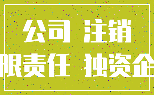 公司 注销_有限责任 独资企业