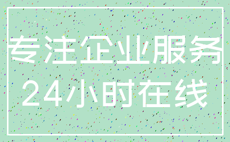 专注企业服务_24小时在线