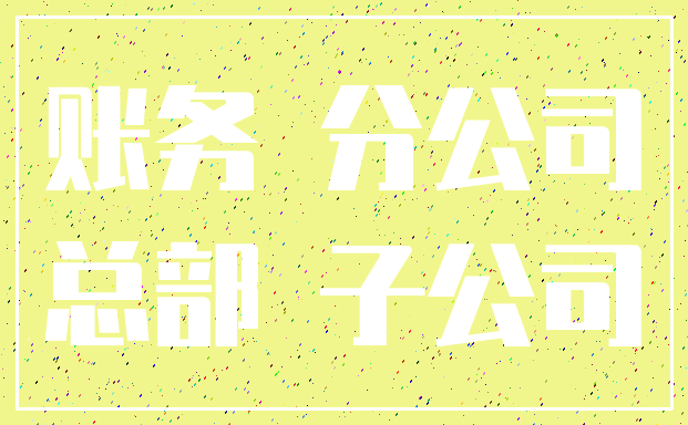 账务 分公司_总部 子公司